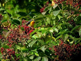 s-IMG_5906A.jpg